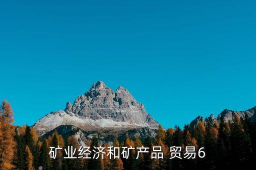 礦業(yè)經(jīng)濟(jì)和礦產(chǎn)品 貿(mào)易6