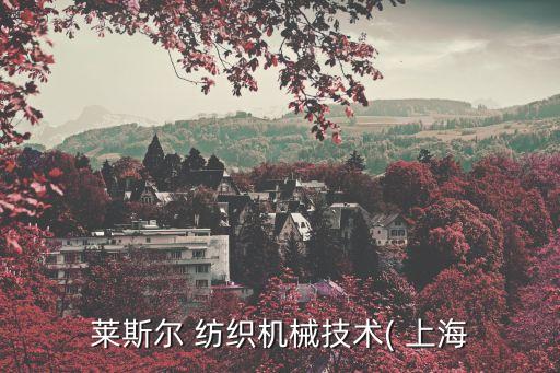 萊斯?fàn)?紡織機(jī)械技術(shù)( 上海