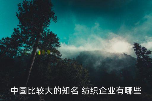 中國比較大的知名 紡織企業(yè)有哪些