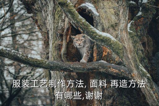 花形的面料再造圖片,面料再造設(shè)計(jì)作品圖片與解說(shuō)