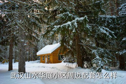 武漢紡織大學(xué)客座教授