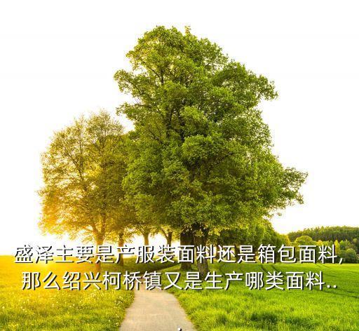盛澤主要是產(chǎn)服裝面料還是箱包面料,那么紹興柯橋鎮(zhèn)又是生產(chǎn)哪類面料...