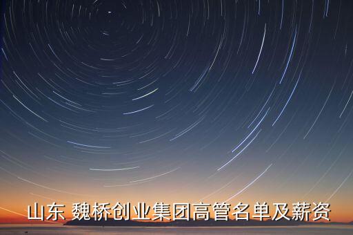  山東 魏橋創(chuàng)業(yè)集團(tuán)高管名單及薪資