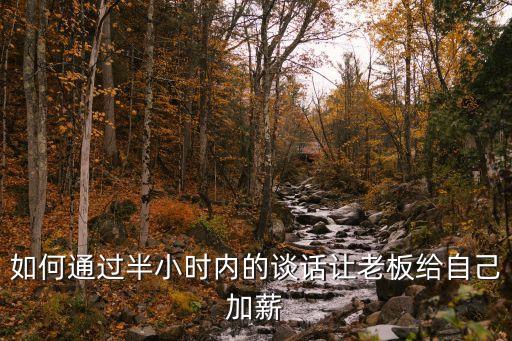 如何通過(guò)半小時(shí)內(nèi)的談話讓老板給自己加薪