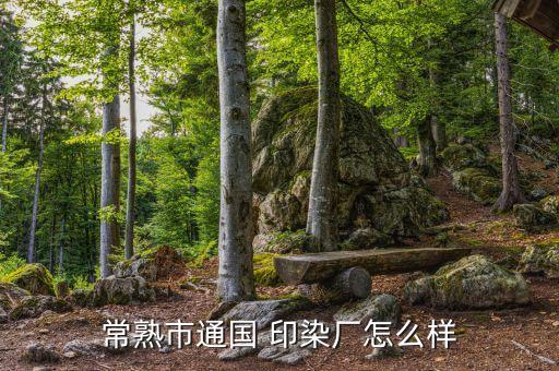 常熟市通國 印染廠怎么樣