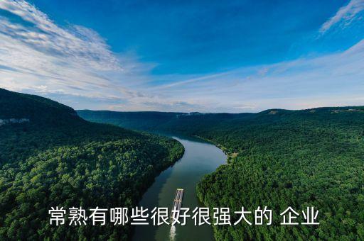  常熟有哪些很好很強(qiáng)大的 企業(yè)