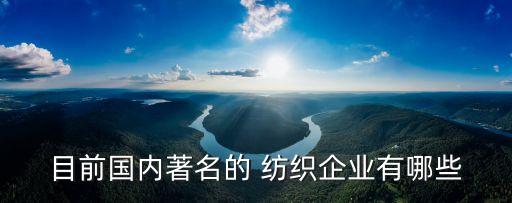 目前國內(nèi)著名的 紡織企業(yè)有哪些