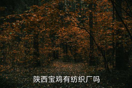 陜西國(guó)有棉紡織企業(yè)