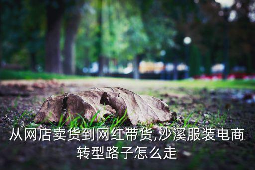 從網(wǎng)店賣貨到網(wǎng)紅帶貨,沙溪服裝電商轉(zhuǎn)型路子怎么走