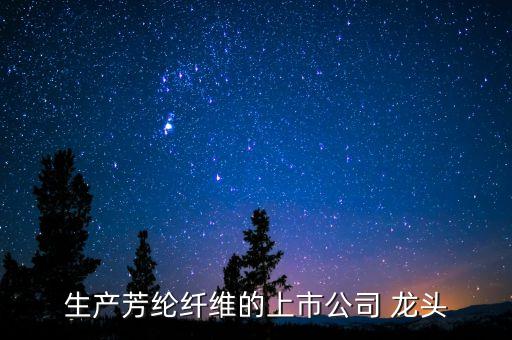 生產(chǎn)芳綸纖維的上市公司 龍頭