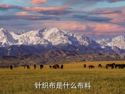  針織布是什么布料