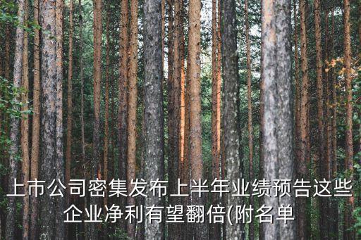 上市公司密集發(fā)布上半年業(yè)績預(yù)告這些企業(yè)凈利有望翻倍(附名單