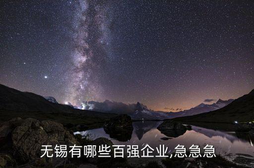  無(wú)錫有哪些百?gòu)?qiáng)企業(yè),急急急