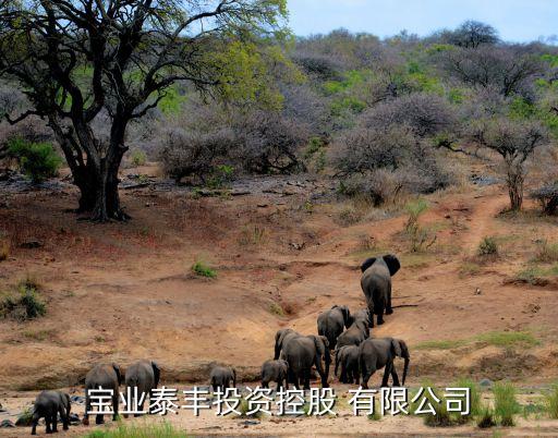 寶業(yè)泰豐投資控股 有限公司