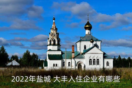 2022年鹽城 大豐入住企業(yè)有哪些