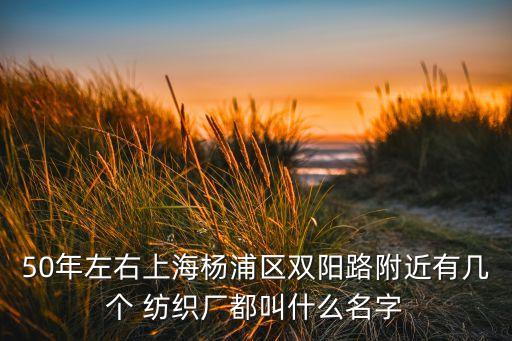 紹興縣國成紡織