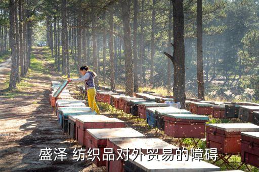 盛澤 紡織品對外貿(mào)易的障礙