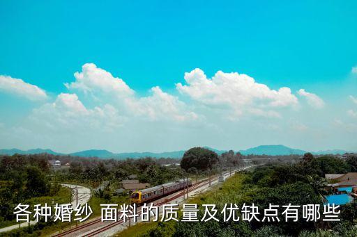珍珠紗是什么面料,珍珠彈力棉是什么面料