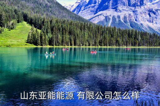 山東亞能能源 有限公司怎么樣