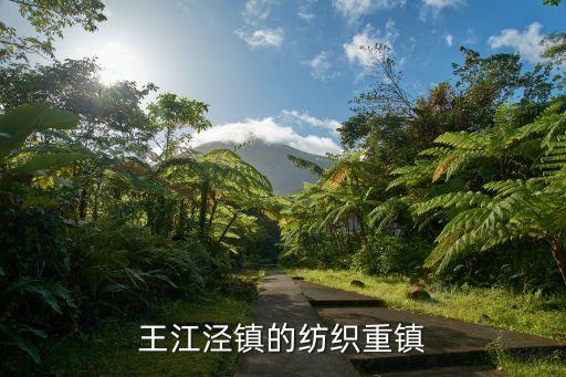 中國棉紡織信息中心