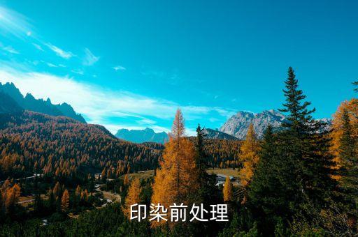 滌綸及其混紡織物的染整加工