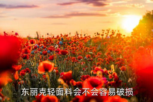 日本東麗紡織,東麗紡織有限公司