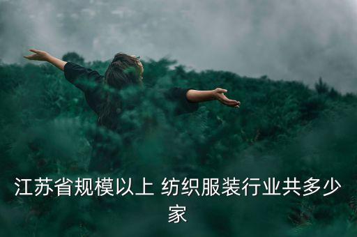 江蘇省規(guī)模以上 紡織服裝行業(yè)共多少家