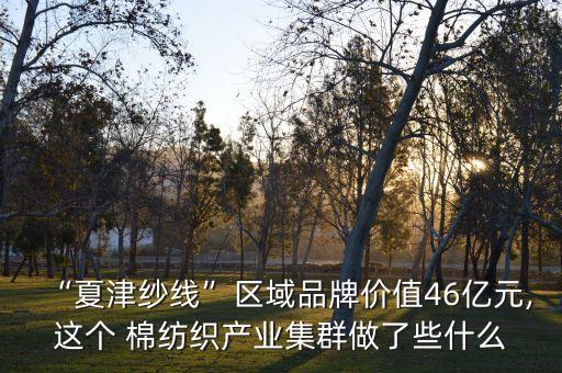 棉紡織技術(shù)信息網(wǎng),青海省專業(yè)技術(shù)人員信息網(wǎng)