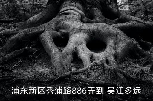 浦東新區(qū)秀浦路886弄到 吳江多遠(yuǎn)
