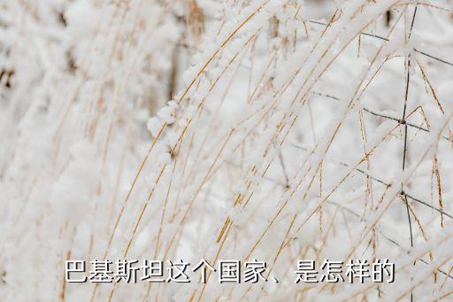  巴基斯坦這個國家、是怎樣的