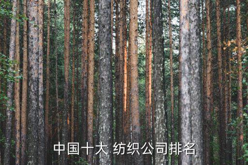 中國十大 紡織公司排名