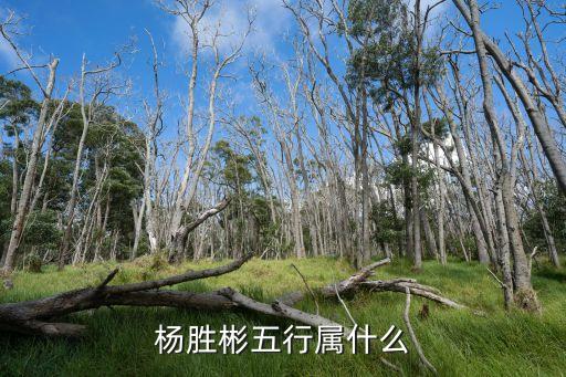 楊勝彬五行屬什么