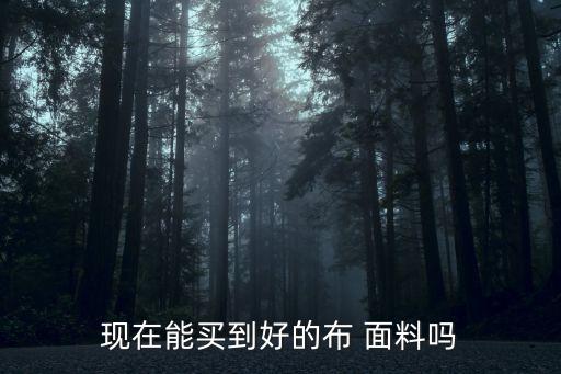現(xiàn)在能買到好的布 面料嗎