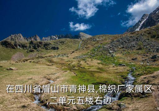 峽星紡織機(jī)械公司,嵊州星耀紡織機(jī)械