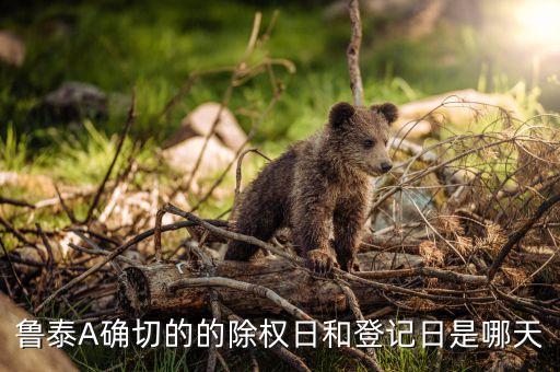 魯豐織染有限公司 電話,山東魯豐生物技術(shù)有限公司