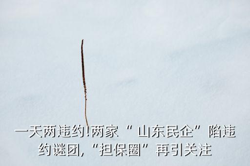 一天兩違約!兩家“ 山東民企”陷違約謎團(tuán),“擔(dān)保圈”再引關(guān)注