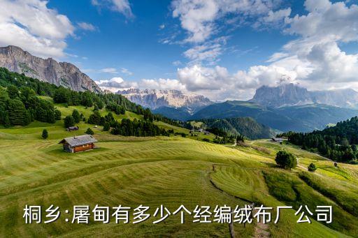 桐鄉(xiāng):屠甸有多少個經(jīng)編絨布廠公司