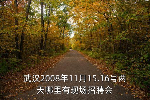 武漢2008年11月15.16號(hào)兩天哪里有現(xiàn)場(chǎng)招聘會(huì)