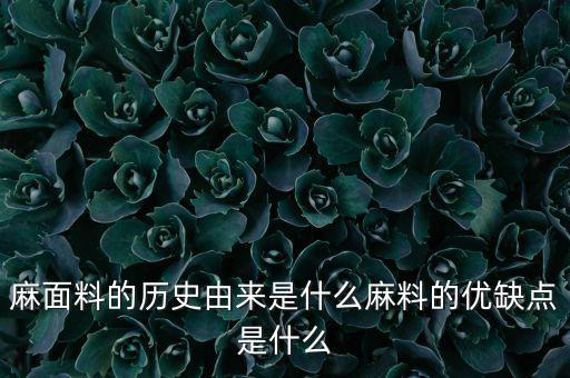 麻面料的歷史由來是什么麻料的優(yōu)缺點(diǎn)是什么
