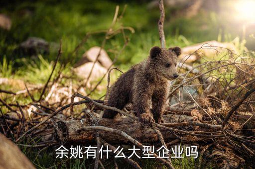 寧波三邦實業(yè)有限公司,寧波龐大包裝材料科技有限公司