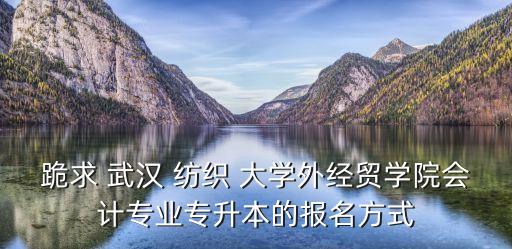 跪求 武漢 紡織 大學外經(jīng)貿(mào)學院會計專業(yè)專升本的報名方式