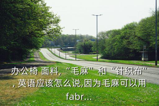 辦公椅 面料,“毛麻”和“針織布”, 英語應(yīng)該怎么說,因為毛麻可以用fabr...