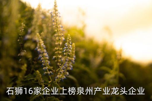 石獅16家企業(yè)上榜泉州產(chǎn)業(yè)龍頭企業(yè)