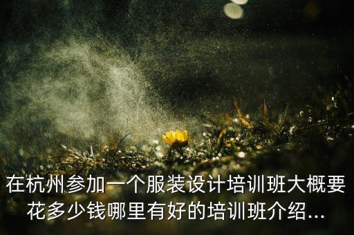 在杭州參加一個服裝設(shè)計培訓(xùn)班大概要花多少錢哪里有好的培訓(xùn)班介紹...