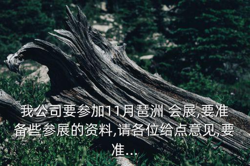 我公司要參加11月琶洲 會展,要準備些參展的資料,請各位給點意見,要準...