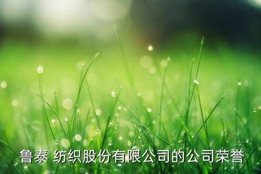  魯泰 紡織股份有限公司的公司榮譽