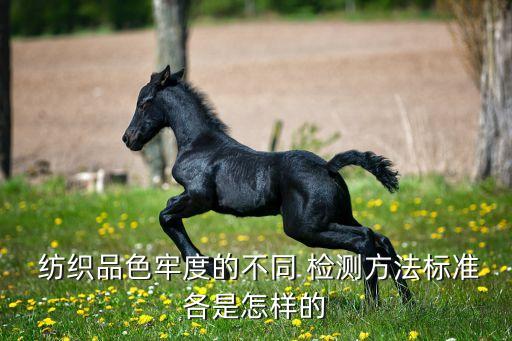中國紡織品檢測