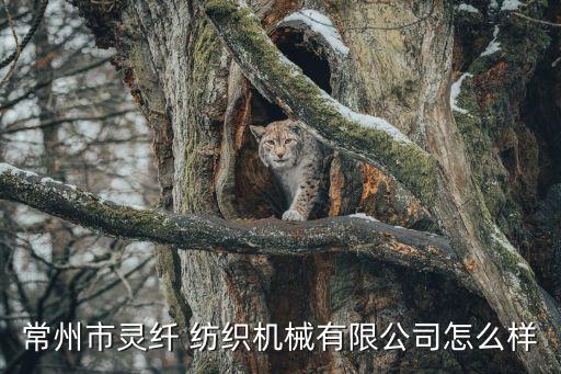 常州市靈纖 紡織機(jī)械有限公司怎么樣