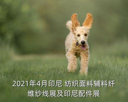 紡織服裝行業(yè) 新聞,2022紡織服裝行業(yè)狀況
