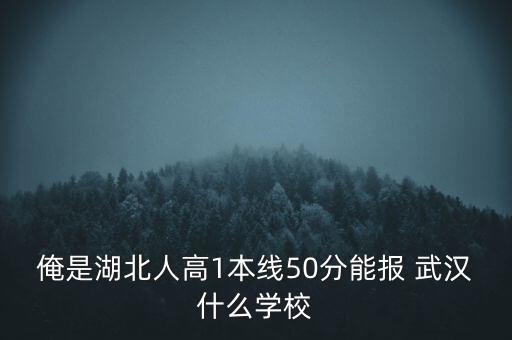 武漢紡織大學實拍圖片